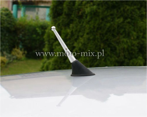 Maszt antenowy bat micro srebrna (VW, Audi, Seat) Maszt antenowy bat micro srebrna (VW, Audi, Seat)