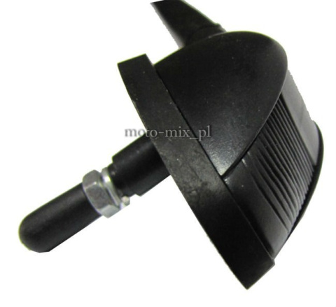 Antena samochodowa Alburnus Antena samochodowa Alburnus