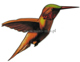 Naklejka tuningowa - Koliber