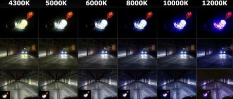 Żarniki - Żarówka palnik D1S 6000K Żarniki - Żarówka palnik D1S 6000K